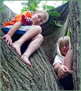 Taylor and Madi sitting in the elm... the photo has nothing to do with anything that follows..
