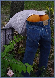 plumber's decolletage...