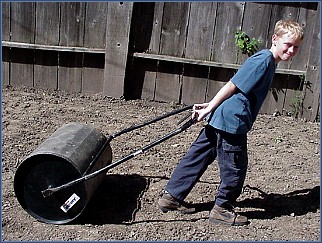 Taylor rolling the backyard on Sunday.