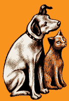 cat-dog2