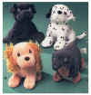TT-dogs1.JPG (192739 bytes)