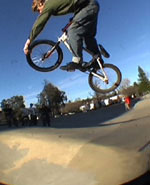 Jarred Salsi