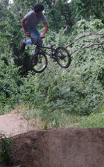Joey Houle