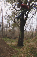 Joey Houle