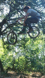 Joey Houle