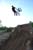 Joey_whip
