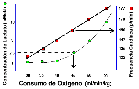 Cuadro del Umbral de �cido l�ctico