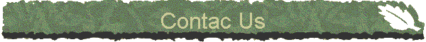 Contac Us