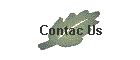 Contac Us