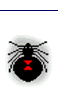 Web Weaver