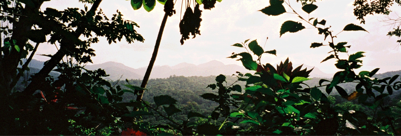 Northern Range