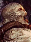 http://gow.gamersmafia.com/storage/tutorial/0/drohne.jpg