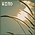 Wind fan