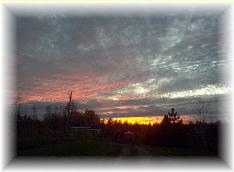 sunset on the farm