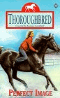 Thoroughbred - Perfect Image