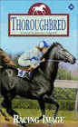 Thoroughbred - Racing Image