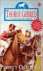 Thoroughbred - Perfect Challenge