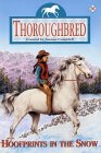 Thoroughbred - Hoofprints in the Snow