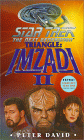 Star Trek: The Next Generation - Imzadi II:Triangle