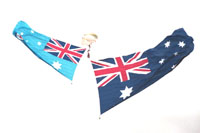 AirShow Flags...