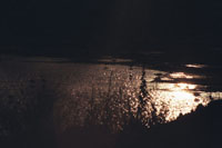 Reflection on lake...