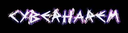 C Y B E R H A R E M