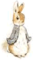Peter Rabbit