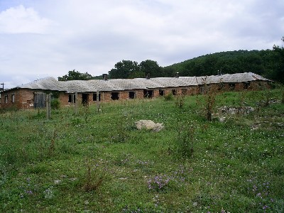 R(0024) Big farme for sale in village in Chirpan region