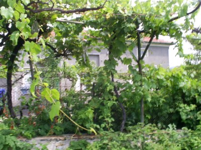R(0021) House for sale in village of Chirpan region