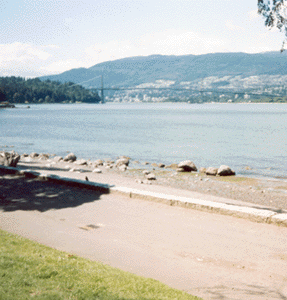 Sea shore