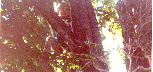 Hiding