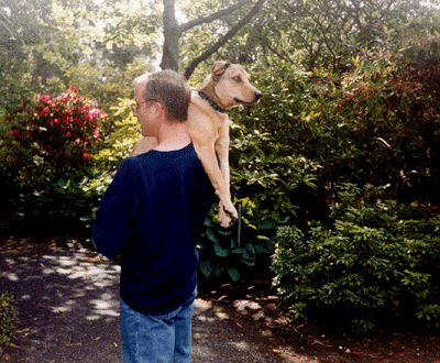 Who's walking who?