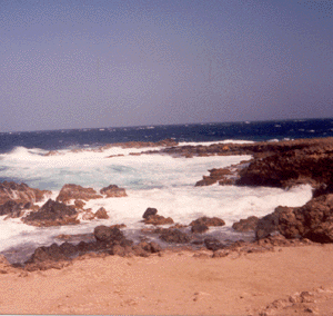 Sea shore