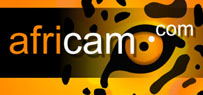 RTW Wildlife Cams