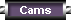 RTW Global Live Cams