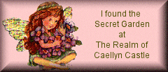 To
Caellyn Castle