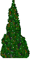 A glittering pine