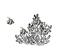 plant and fish