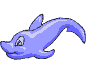 dolphin