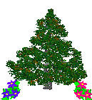 A pine tree and flowers