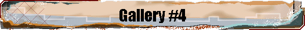 Gallery #4