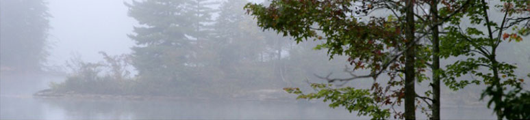 bottom.jpg (31085 bytes)