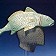 Prop (Festival Fish Hat)