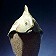Prop (Festival Fish Hat)