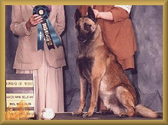Ahbi's Award of Merit