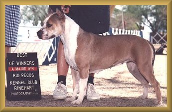 Caramel's first major