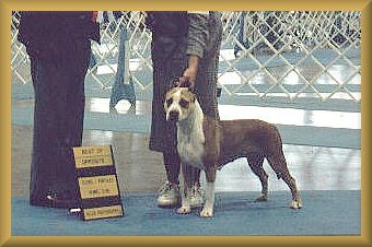 Caramel's first show