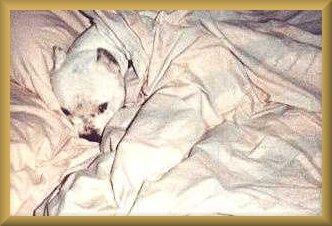 Spoiled or what?
