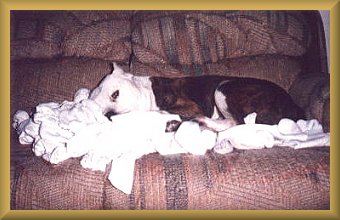 Fresh laundry!