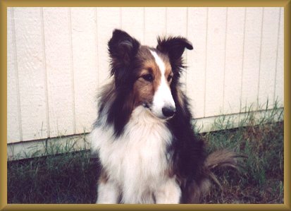 Kippy's side view